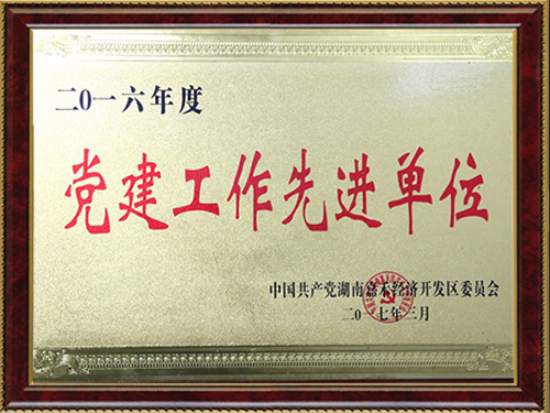 榮譽(yù)資質(zhì) 榮譽(yù)資質(zhì)